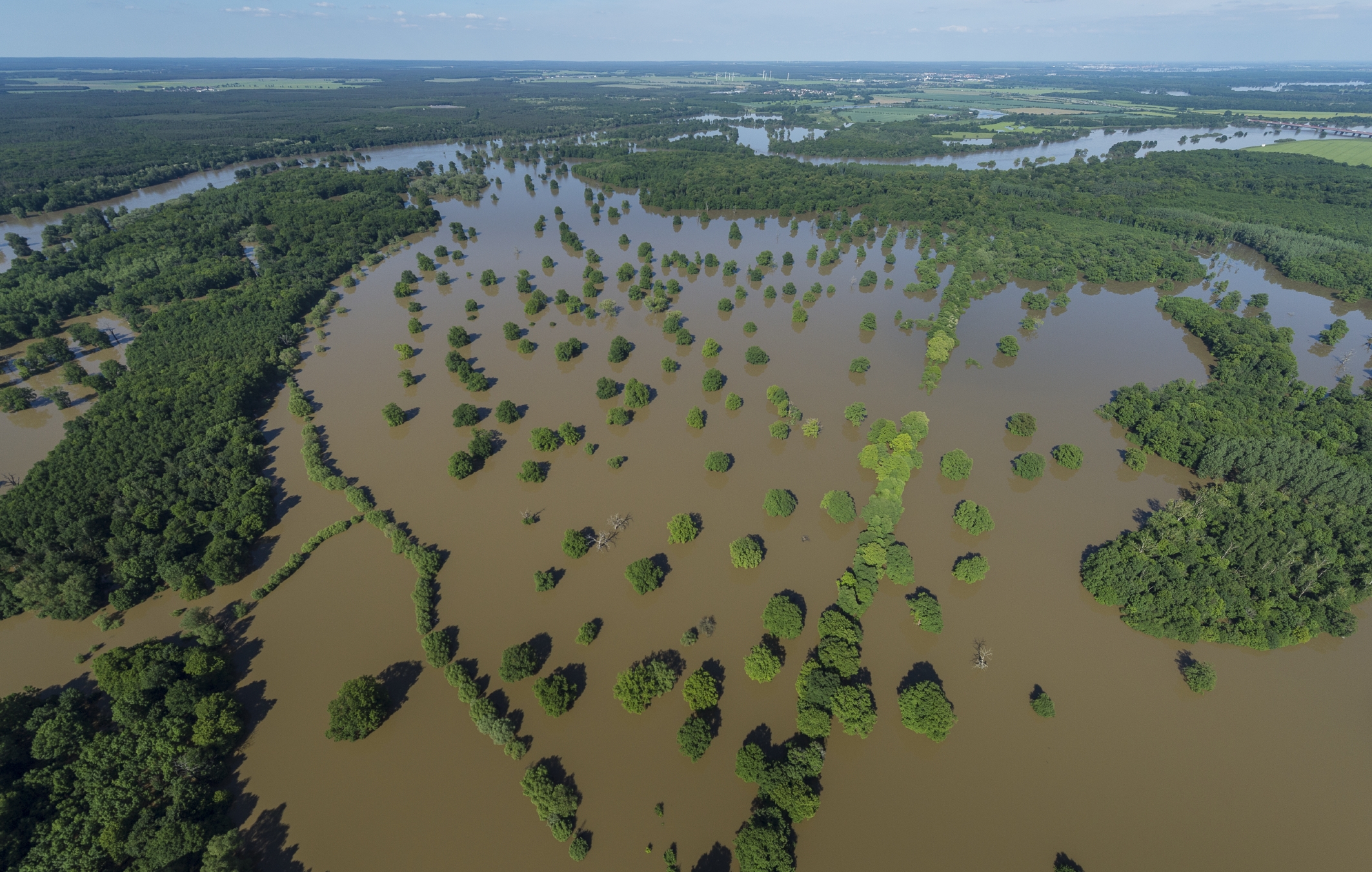 Elbe-Hochwasser Juni 2013 bei Dessau, Foto: Andr&eacute; K&uuml;nzelmann, UFZ